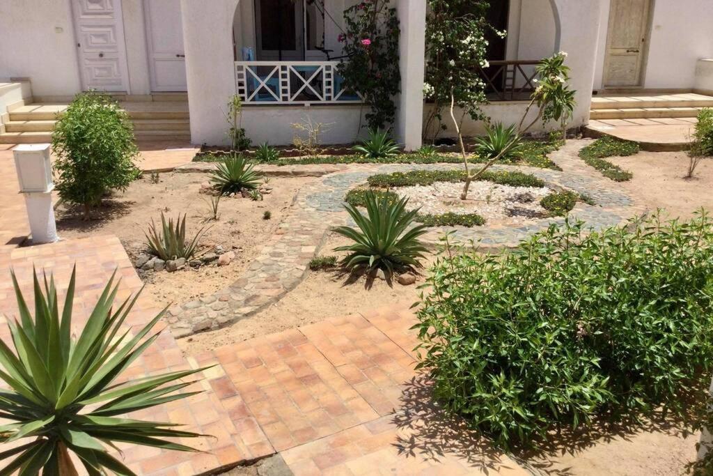 Beyt Alzohour - Casa Dei Fiori Daire Dahab Dış mekan fotoğraf